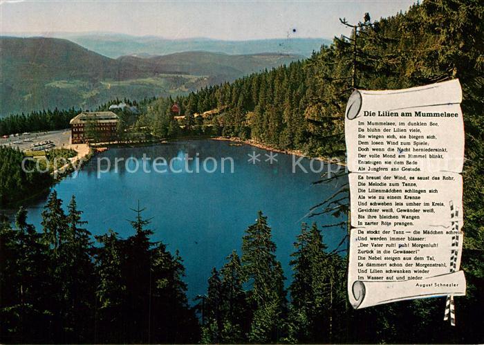 Gedicht auf AK Die Lilien am Mummelsee August Schnezler Berghotel Mummelsee