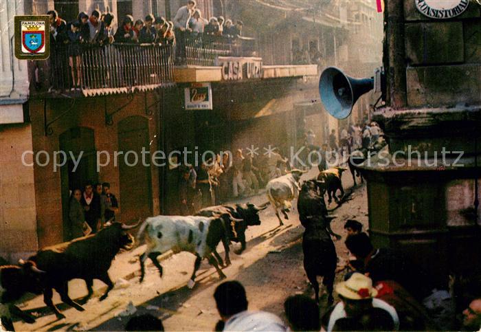 Stiere Pamplona Fiestas de San Fermin Encierro de los Toros