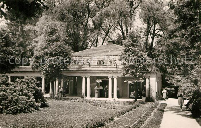 Bad Brambach Radiumquelle