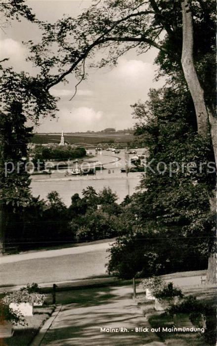 Mainz Rhein Mainmuendung