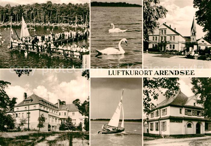 Arendsee Uckermark Seebruecke Schwaene