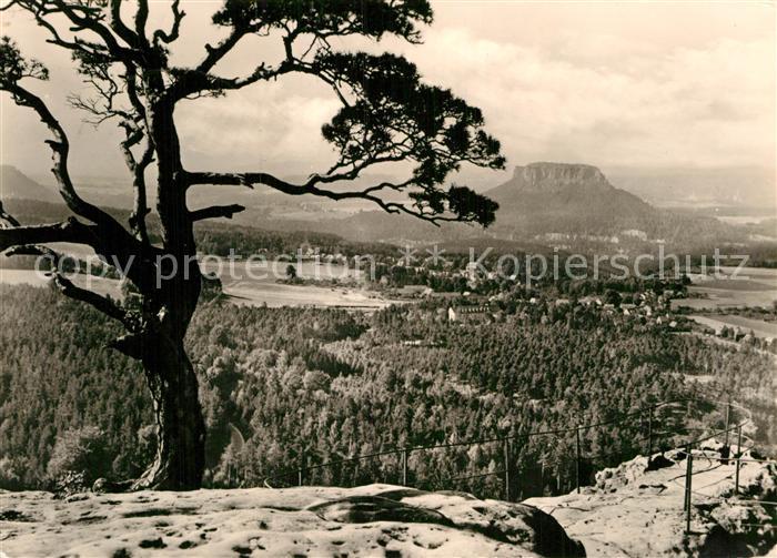 Gohrisch Blick vom Papststein auf Lilienstein