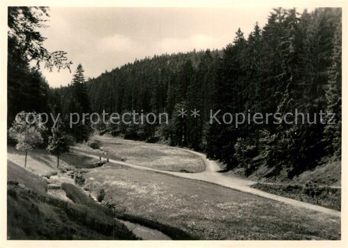 Tambach-Dietharz Spittergrund