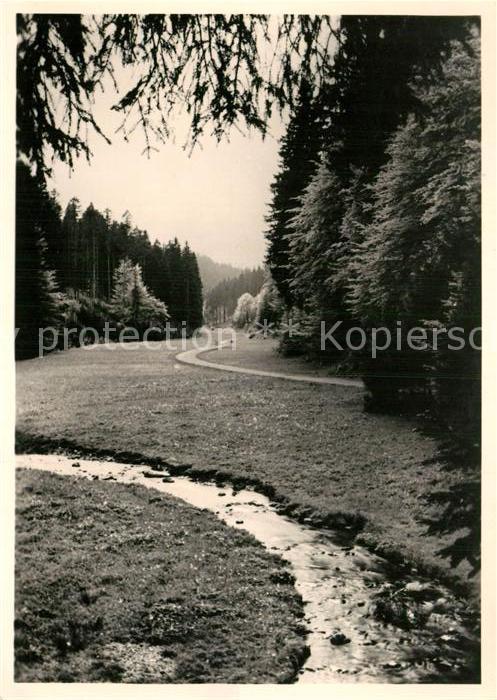 Tambach-Dietharz Apfelstaedtgrund