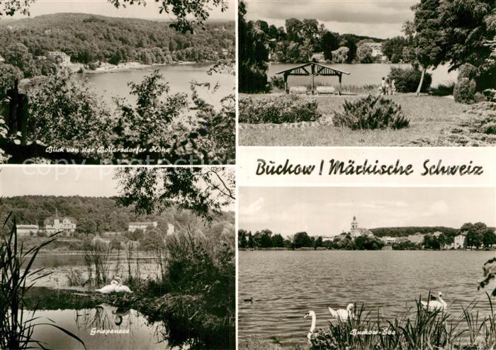 Buckow Maerkische Schweiz Seepartien Schwaene