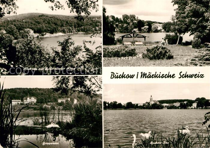 Buckow Maerkische Schweiz Seeepartien Schwaene
