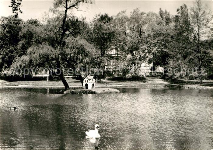 Bad Lausick Kurbad Schwanenteich