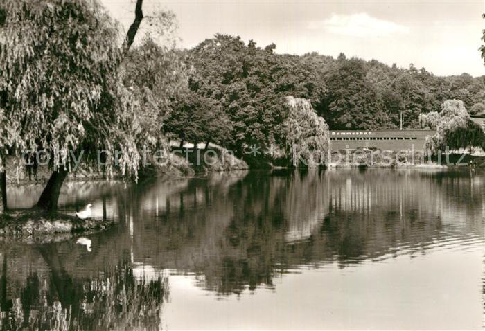 Meerane Sommerbad mit Teichanlagen