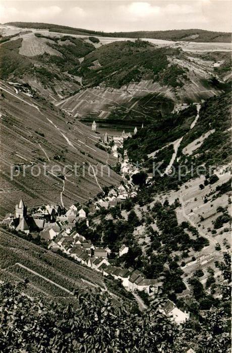 Steeg Bacharach Panorama Weinort