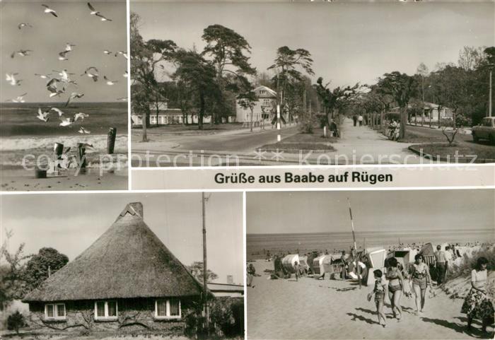 Baabe Ostseebad Ruegen Moewen am Strand Promenade Reetdachhaus