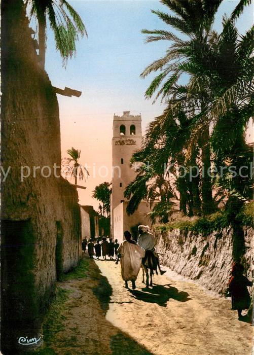 Biskra Ras el Guerriah Palmiers Collection Artistique l'Afrique