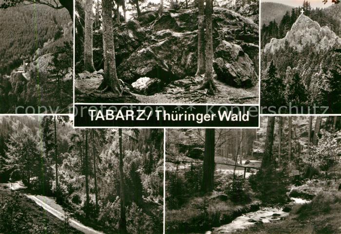 Tabarz Waldpartie Lauchagrund Bach Felsen