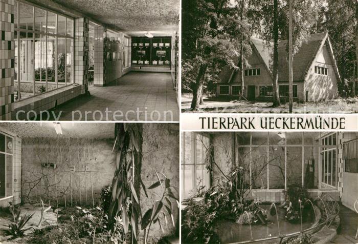 Ueckermuende Mecklenburg Vorpommern Tierpark Vivarium