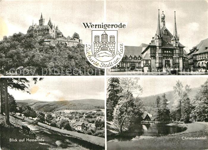 Wernigerode Harz Schloss Rathaus Christianental Blick auf Hasserode