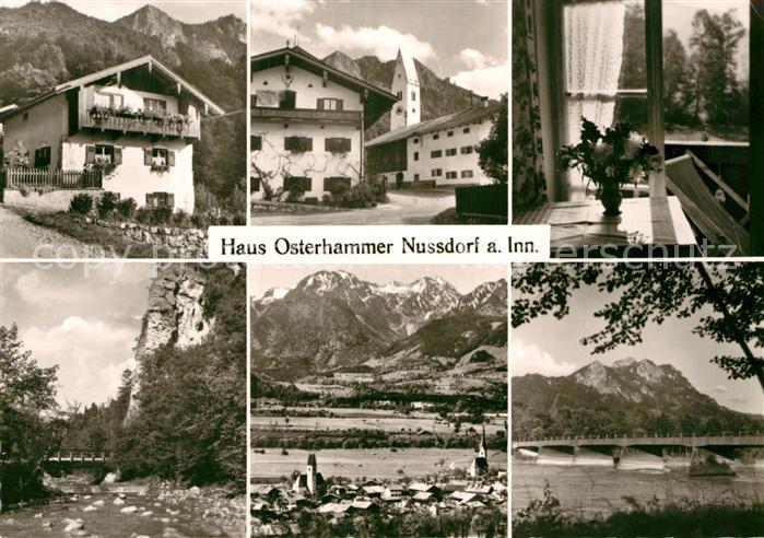 Nussdorf Inn Haus Osterhammer