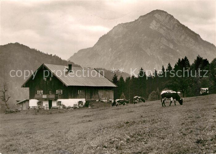 Weissbach Alpenstrasse Hoellenbachalm