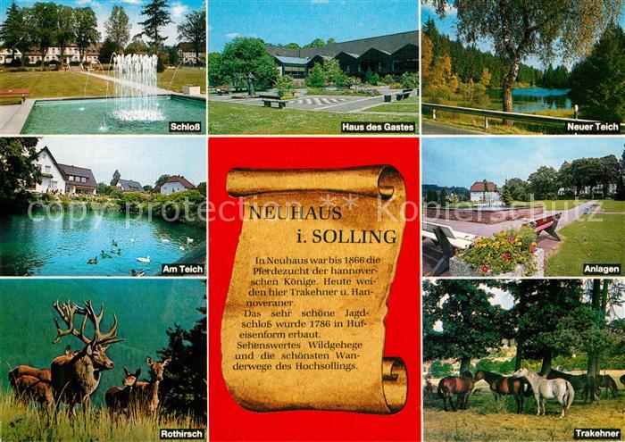 Neuhaus Solling Schloss Haus des Gastes Rothirsch Trakehner