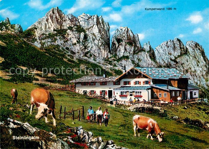 Aschau Chiemgau Steinlingalm Kampenwand und Kuehen