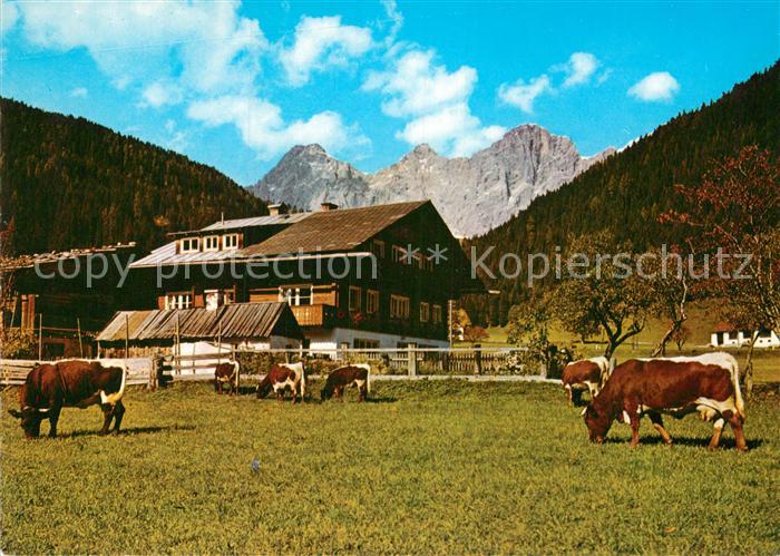 Ramsau Berchtesgaden Bauernhaus Kuehe