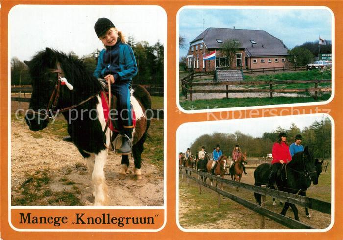 Schoonloo Manege Knollegruun Reiten Pferde