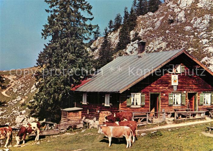 Fischbachau Hubertushuette am Breitenstein Kuehe