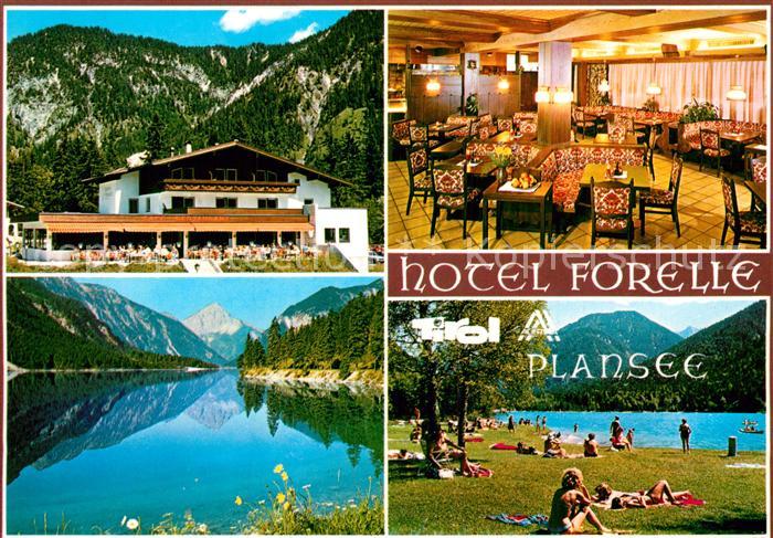 Plansee Hotel Forelle Partei am See