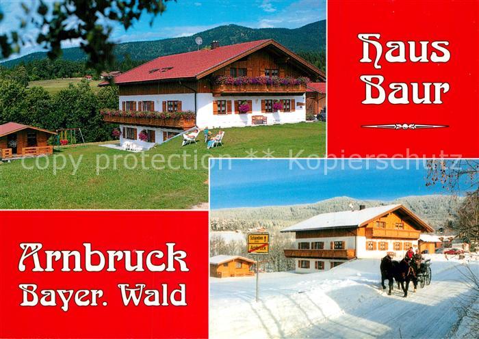Arnbruck Ferienwohnungen Haus Baur Pferdekutsche Bayerischer Wald