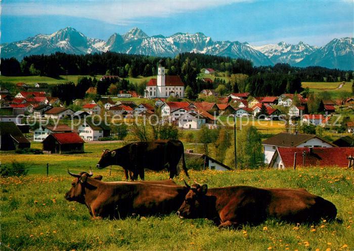 Lechbruck See Ortsansicht mit Kirche Viehweide Kuehe Tiroler und Allgaeuer Hochg