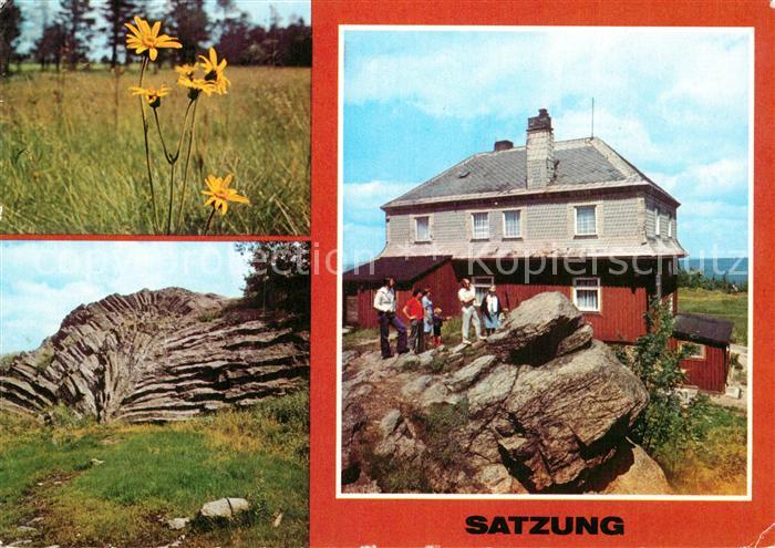 Satzung Arnika Pflanze Natur Nephelinbasalt Faecher Steinbruch Felsen Hirtsteinb