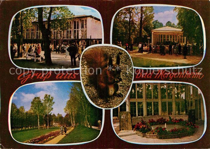 Bad Mergentheim Kurhaus Kurpark Konzertpavillon Eichhoernchen