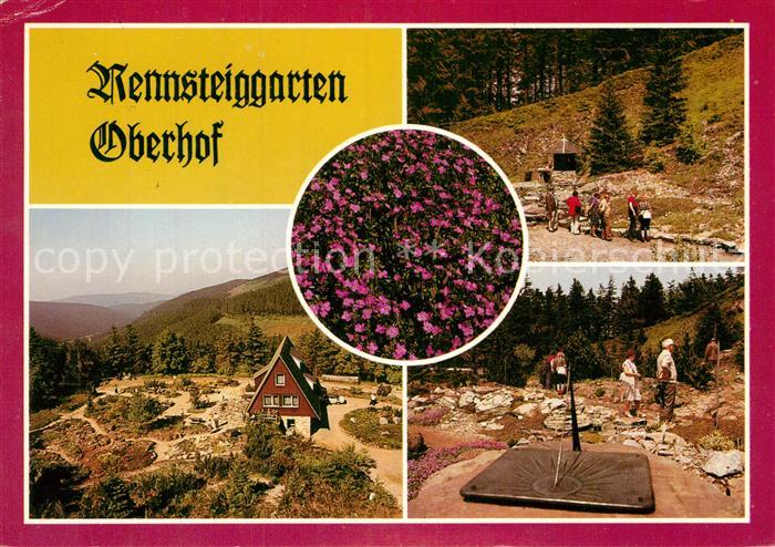 Oberhof Thueringen Rennsteingarten Botanischer Garten fuer Gebirgsflora