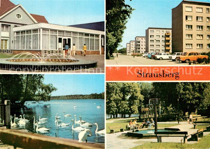 Strausberg Brandenburg Haus der NVA Klub am See Artur Becker Strasse Schwaene am