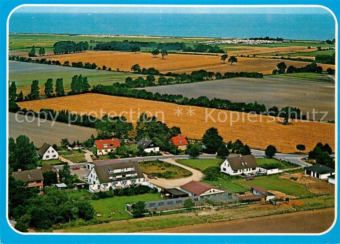 Schoenberg Holstein Pony Hof Momberg