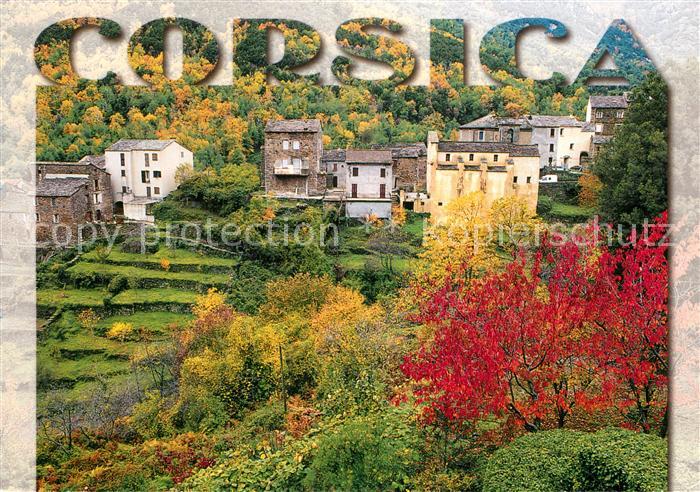 Corse Ile de Castagniccia