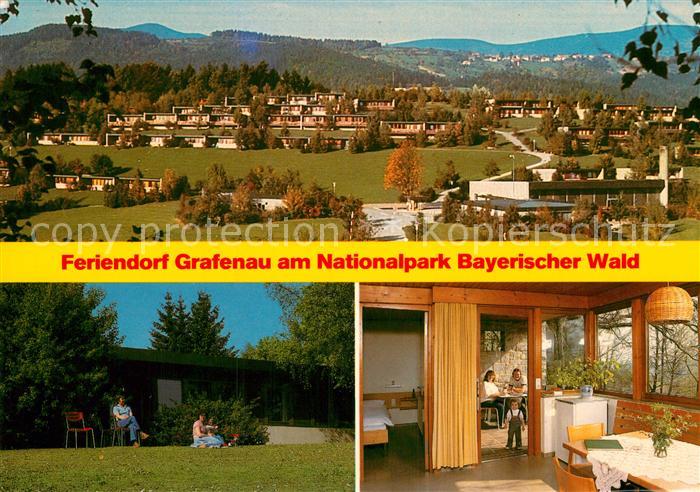 Grafenau Niederbayern Feriendorf