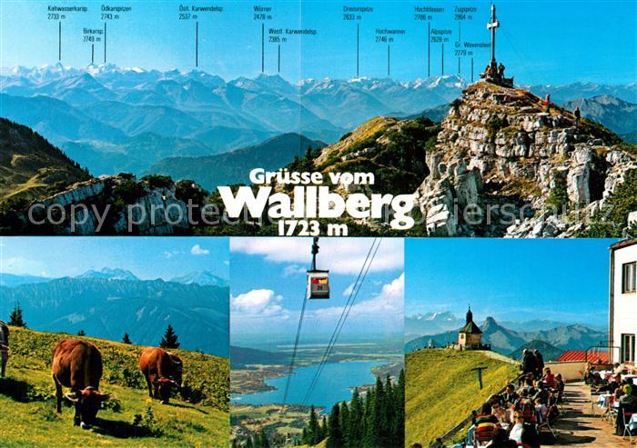 Wallberg Seilbahn Kuehe Tegernsee