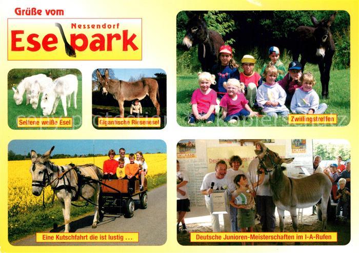 Nessendorf Eselpark