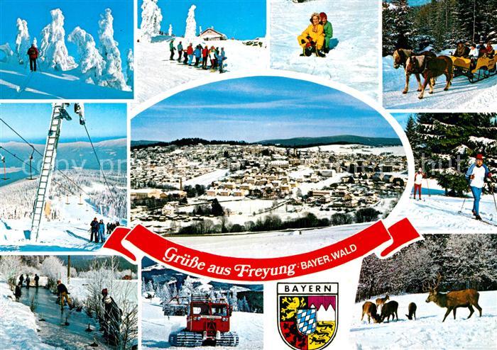 Freyung Skigebiet Pferdeschlitten Schleppschift Eisstockschiessen