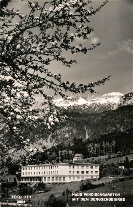 Windischgarsten Haus Windischgarsten mit dem Sengsengebirge Baumbluete