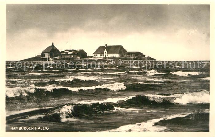 Hamburger Hallig Ansicht vom Meer aus