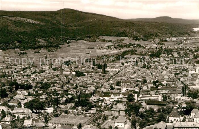 Neustadt Weinstrasse Fliegeraufnahme