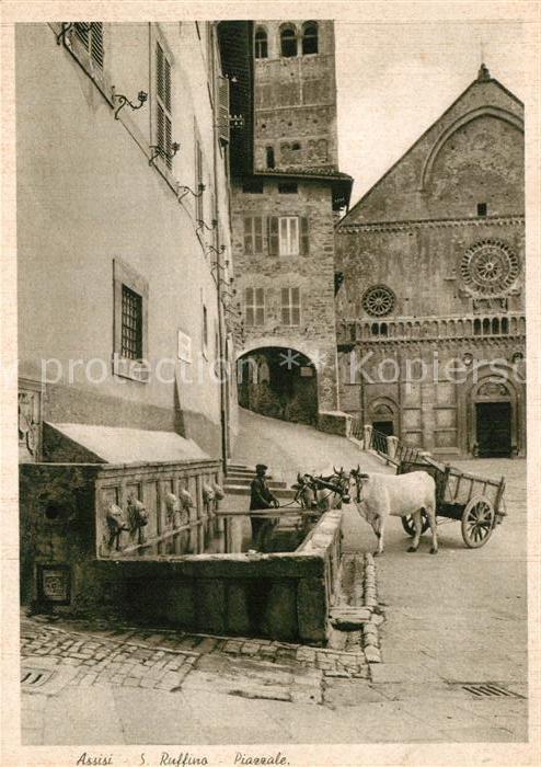 Assisi Umbria Cattedrale San Ruffino Piazzale Kathedrale Ochsenkarren