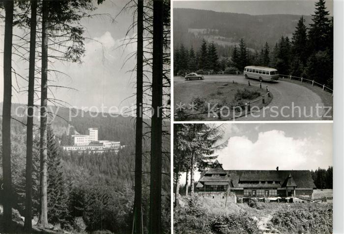 Kubalonka Sanatorium Serpentyny Restauracja