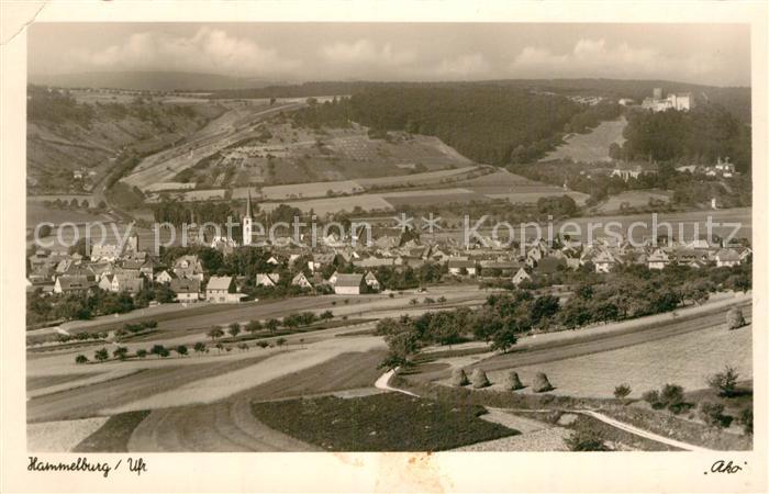 Hammelburg Fliegeraufnahme