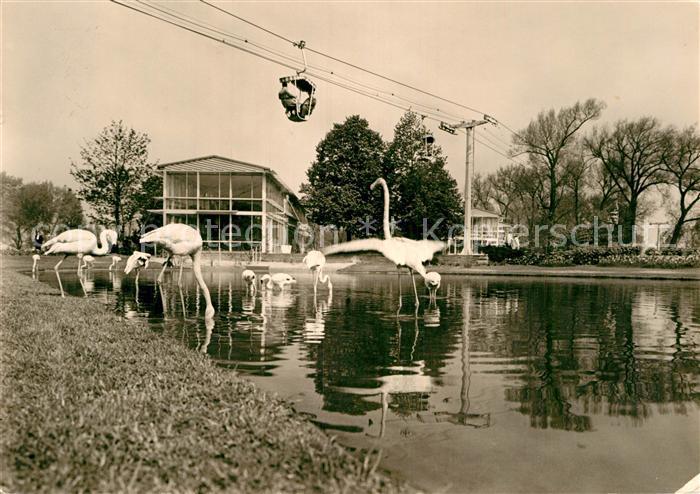 Koeln Rhein Bundesgartenschau Sesselbahn Flamingoteich