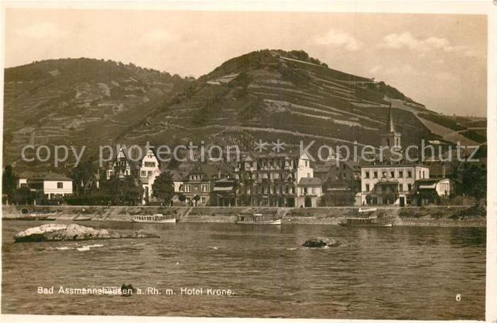 Bad Assmannshausen Rhein Blick ueber den Rhein Hotel Krone Weinberge