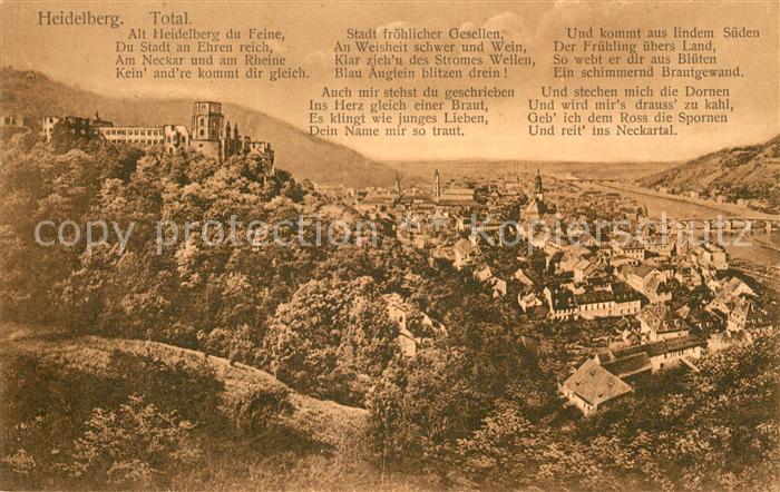 Heidelberg Neckar Total Stadtpanorama mit Schloss