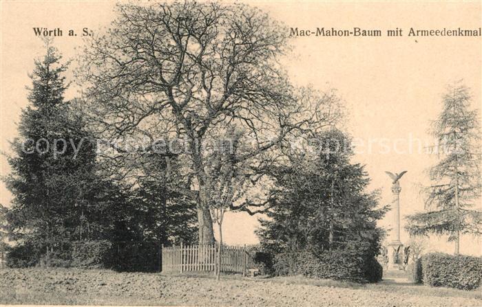 Woerth Sauer Mac Mahon Baum mit Armeedenkmal