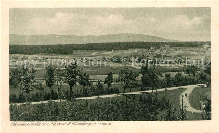 Benneckenstein Harz mit Brockenpanorama Kupfertiefdruck