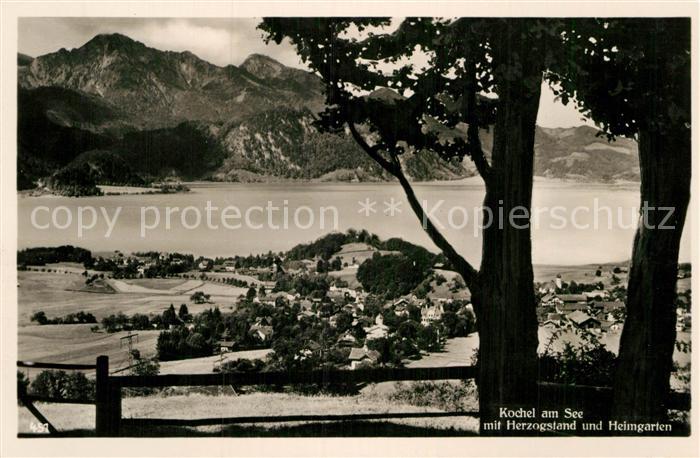 Kochel See Panorama mit Herzogstand und Heimgarten